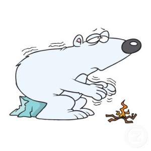 isbjorn-fryser1_120926393